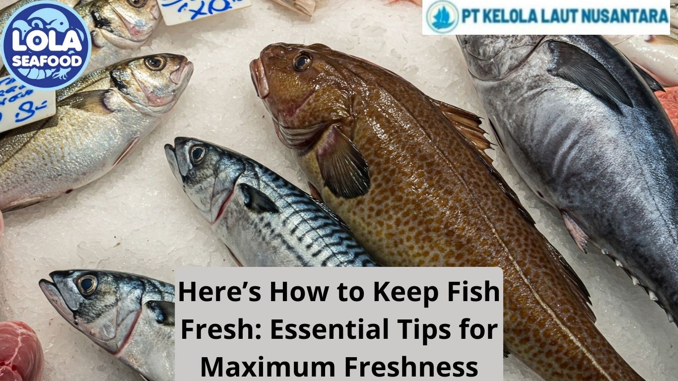 Here’s How to Keep Fish Fresh: Essential Tips for Maximum Freshness